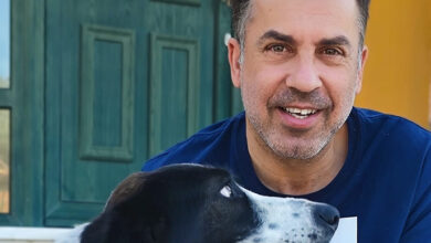 Παύλος-Ζησίμου:-Προτάσεις-για-την-προστασία-των-ζώων-συντροφιάς-και-των-αδέσποτων