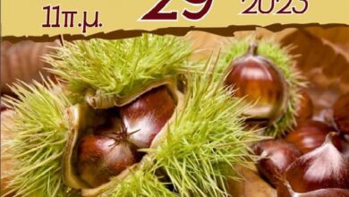 Ανακοίνωση-για-τους-μικροπωλητές-που-επιθυμούν-να-συμμετάσχουν-στην-ημέρα-κάστανου