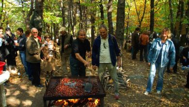 Ετοιμάζονται-για-τη-γιορτή-Κάστανου-και-τη-γιορτή-Τσίπουρου-στο-Δήμο-Παγγαίου