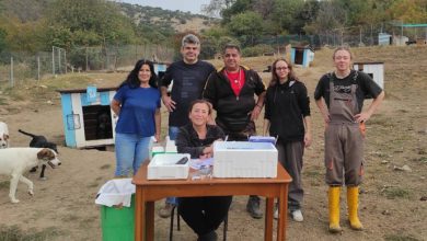 Εμβολιασμοί-των-σκυλιών-στο-κτήμα-προσωρινής-επανένταξης-του-Δήμου-Καβάλας