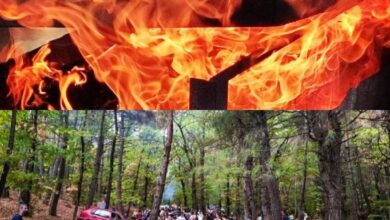 Την-μεγαλύτερη-προσέλευση-κόσμου-από-κάθε-άλλη-φορά,-σημείωσε-η-Γιορτή-του-Κάστανου