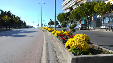 Ολοκληρώθηκε-η-αναβάθμιση-των-χώρων-πρασίνου-στην-νησίδα-της-Ερυθρού-Σταυρού