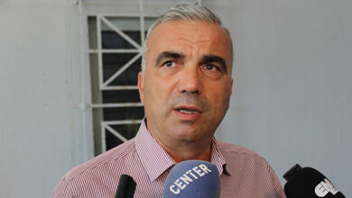 Μέχρι-και-90%-φτάνει-η-ακαρπία-της-ελιάς