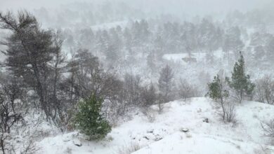Καιρός:-Έρχεται-χιονιάς-με-θυελλώδεις-βοριάδες-και-κρύο-–-Ποιες-περιοχές-θα-επηρεαστούν-περισσότερο