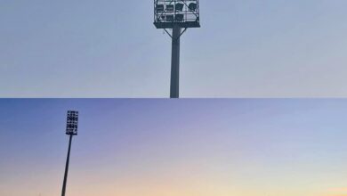 Ντράπηκε-και-η-ντροπή