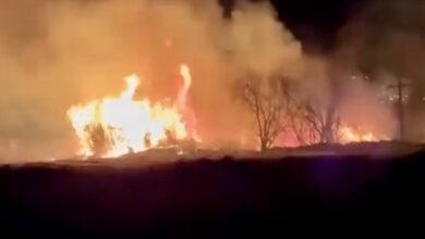 Φωτιά-εκδηλώθηκε-κοντά-στον-Βιολογικό-της-Νέας-Περάμου