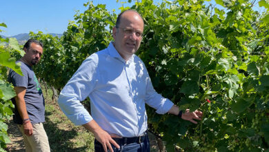 Τα-19-μέτρα-για-τους-αγρότες-και-η-ανάγκη-διαλόγου-(του-Μ.-Λαζαρίδη)