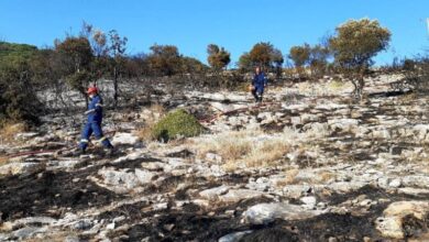 Προχωράει-το-σχέδιο-δασοπυρόσβεσης-του-νομού-Καβάλας-για-την-επερχόμενη-αντιπυρική-περίοδο,-σύμφωνα-με-τον-νέο-διοικητή-της-Πυροσβεστικής,-Αντώνη-Χρηστίδη