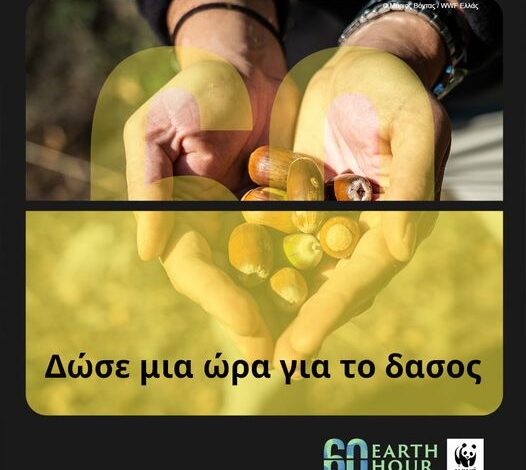 Ο-Δήμος-Καβάλας-συμμετέχει-στην-«Ώρα-της-Γης»