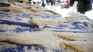 25η-Μαρτίου:-Πόσο-κοστίζει-φέτος-ο-μπακαλιάρος-–-Δείτε-αναλυτικά-τις-τιμές