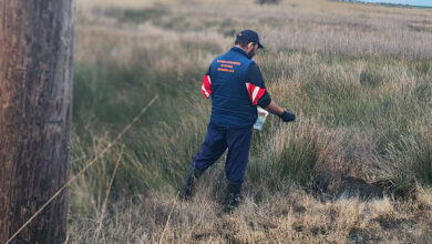 Ξεκίνησε-η-καταπολέμηση-των-κουνουπιών-στην-Περιφέρεια-ΑΜΘ
