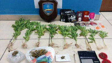 Καβάλα:-Ο-«Θορ»-μύρισε-ναρκωτικά