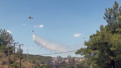 Υπό-έλεγχο-τέθηκε-η-πυρκαγιά-πάνω-από-τον-Μπάτη