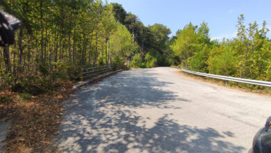 Καθαρισμός-παρόδιας-βλάστησης-και-ιδιόκτητων-οικοπέδων-στον-Πρίνο