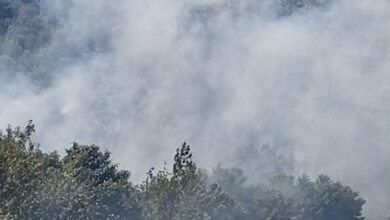 Πυρκαγιά-μεταξύ-Παλαιοχωρίου-και-Νικήσιανης