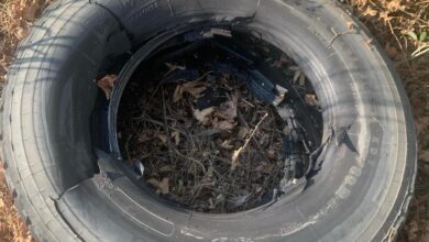 Από-σκάσιμο-ελαστικού-και-πρόκληση-σπινθήρα-η-πυρκαγιά-στο-Παλαιοχώρι-Παγγαίου