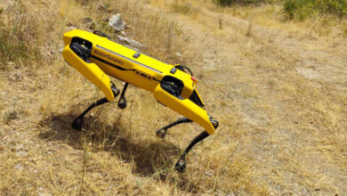 Ένας-ρομποτικός-σκύλος-περιπολεί-στο-δάσος-της-Λιμνιάς