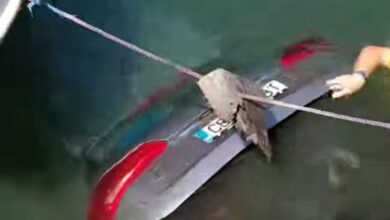 Ανακοίνωση-του-Λιμενικού-για-την-πτώση-του-αυτοκινήτου-στο-λιμάνι-των-Ελευθερών