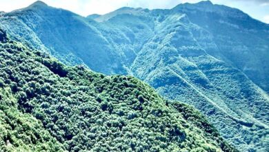 Συναγερμός-στο-Παγγαίο-–-Φωτιά-κοντά-στην-κορυφή