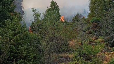 Παγγαίο:-Συλλογή-ηλεκτρολυτών-και-ενεργειακών-ποτών-για-τους-πυροσβέστες