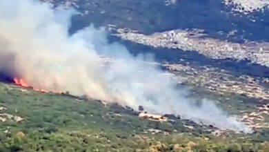Πυρκαγιά-στο-Στεγνό-του-δήμου-Νέστου