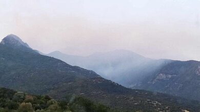 Φωτιά-στο-Παγγαίο:-Διάσπαρτες-εστίες-–-Συνεχίζουν-να-επιχειρούν-οι-επίγειες-δυνάμεις-και-οι-εθελοντές