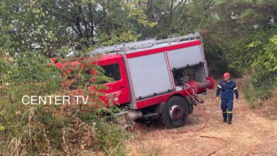 Μικρής-έκτασης-πυρκαγιά-εκδηλώθηκε-στο-χωριό-Φίλιπποι-Καβάλας