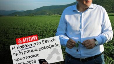 Μακάριος-Λαζαρίδης:-Η-Π.Ε-Καβάλας-εντάχθηκε-στο-Εθνικό-Προγραμμα-Χαλαζικής-Προστασίας