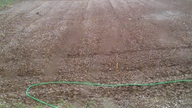 Παράταση-του-διαγωνισμού-για-το-πρόγραμμα-χαλαζικής-προστασίας