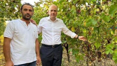 Μακάριος-Λαζαρίδης:-Άνοιξε-η-αναγγελία-για-τις-καταστροφές-των-ποικιλιών-σταφυλιών-στα-χωριά-του-πρώην-Δήμου-Ελευθερών