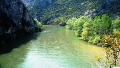 Δεσμευτική-προσφορά-για-το-έργο-«Μεταφορά-νερού-από-τον-ποταμό-Νέστο-στην-πεδιάδα-της-Ξάνθης»