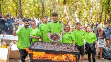 Πλήθος-κόσμου-βρέθηκε-στο-Καστανοδάσος-του-Παλαιοχωρίου,-όπου-πραγματοποιήθηκε-η-καθιερωμένη-«Ημέρα-Κάστανου»