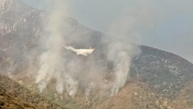 Βοήθεια-από-τη-Σερβία-για-την-κατάσβεση-της-φωτιάς-στο-Παγγαίο