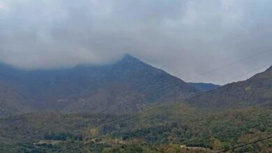 Πολύ-καλύτερη-η-εικόνα-της-πυρκαγιάς-σε-ορεινη-περιοχη-της-Δ.Κ-Νικήσιανης