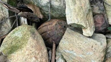 Παλαιοχώρι-Καβάλας:-Μάζευε-καρύδια-και-βρήκε…-χειροβομβίδα-στην-αυλή-της!