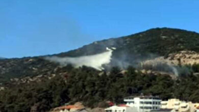 Πυρκαγιά-σε-δασική-έκταση-στην-Νέα-Πέραμο-Καβάλας