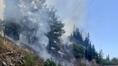 Υπό-έλεγχο-η-φωτιά-στην-Άσπρη-Άμμο-–-Συντονισμένη-επέμβαση-από-πυροσβεστική,-εναέρια-μέσα,-εθελοντές-και-τους-Δήμους-Παγγαίου-και-Νέστου