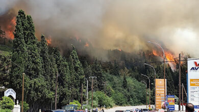 Άμεσα-και-συντονισμένα-αντιμετωπίστηκε-η-πυρκαγιά στην-Άσπρη-Άμμο