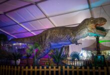 dinosaurs-live-στο-στάδιο-«Ανθή-Καραγιάννη»-στην-Καβάλα