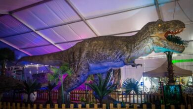 dinosaurs-live-στο-στάδιο-«Ανθή-Καραγιάννη»-στην-Καβάλα