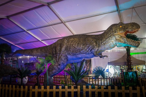 dinosaurs-live-στο-στάδιο-«Ανθή-Καραγιάννη»-στην-Καβάλα