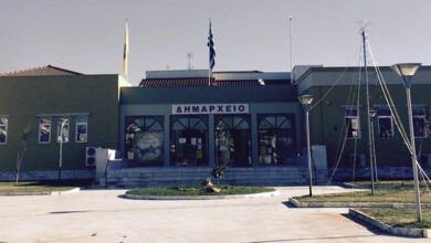 Αίτημα-για-κήρυξη-κατάστασης-έκτακτης-ανάγκης-λόγω-των-κουνουπιών-κατέθεσε-ο-Δήμος-Νέστου