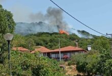 Φωτιά-στο-Χρυσόκαστρο-Παγγαίου-–-Εναέρια-και-ισχυρή-επίγεια-δύναμη-στη-μάχη-με-τις-φλόγες
