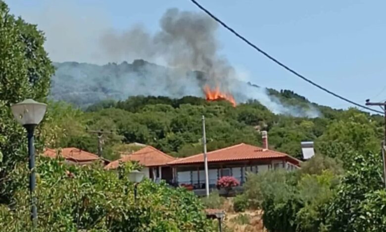 Φωτιά-στο-Χρυσόκαστρο-Παγγαίου-–-Εναέρια-και-ισχυρή-επίγεια-δύναμη-στη-μάχη-με-τις-φλόγες