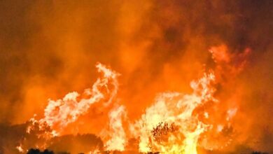 Φωτιά-στην-Πάτρα:-19χρονος-ομολόγησε-εμπρησμό-στα-Συχαινά-–-Τρεις-συλλήψεις-και-μια-προσαγωγή