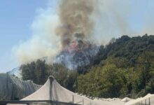Φωτιά-στο-Μυρτόφυτο-–-Κατασβέστηκε-σε-μισή-ώρα-χάρη-στην-άμεση-επέμβαση