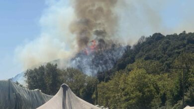 Φωτιά-στο-Μυρτόφυτο-–-Κατασβέστηκε-σε-μισή-ώρα-χάρη-στην-άμεση-επέμβαση