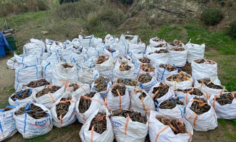 Δωρεάν-καυσόξυλα-σε-ευάλωτα-νοικοκυριά-του-Δήμου-Παγγαίου-για-την-αντιμετώπιση-της-ενεργειακής-κρίσης