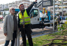 Κοπή-ξερών-και-επικίνδυνων-κλαδιών-στον-Δημοτικό-Κήπο-Καβάλας