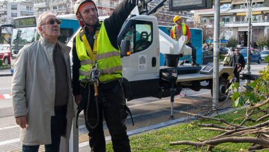 Κοπή-ξερών-και-επικίνδυνων-κλαδιών-στον-Δημοτικό-Κήπο-Καβάλας